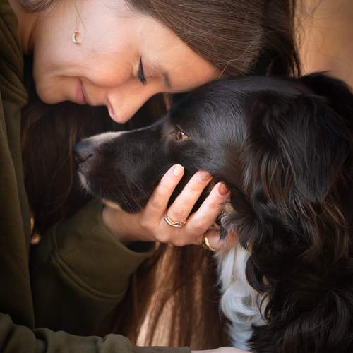 Photo #13127343