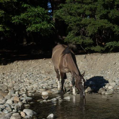 Photo #13127430