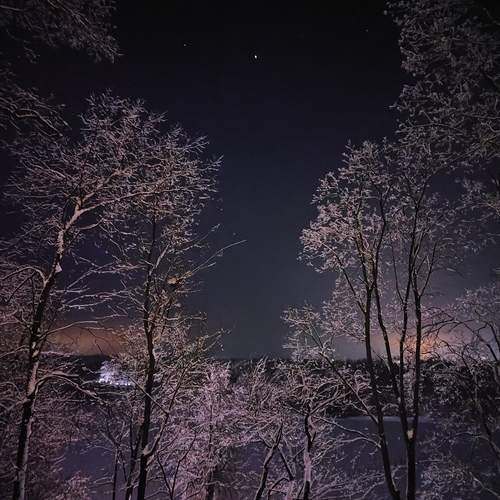 Photo #13127546