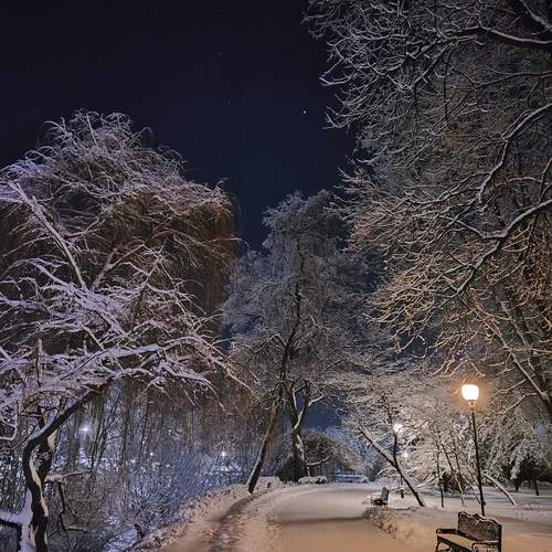 Photo #13127547