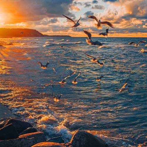 ...