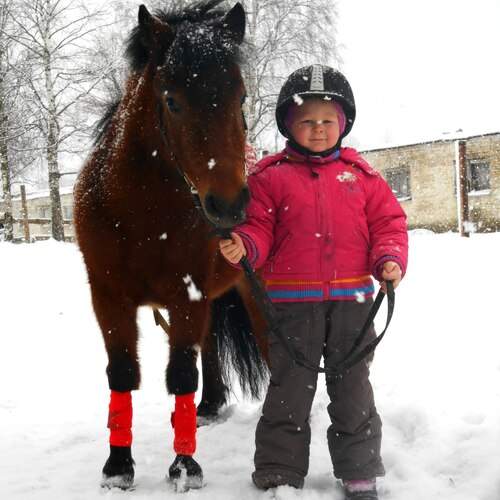 Photo #13127644