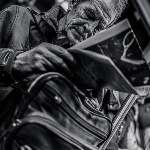 Photo #13127695
