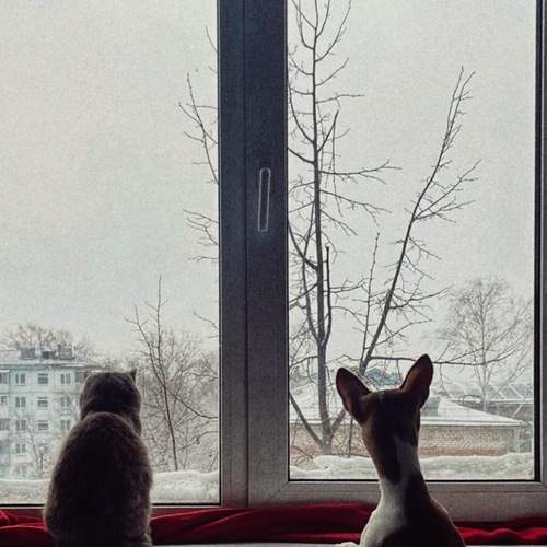 Photo #13127700