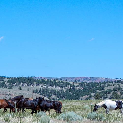 Photo #13127744