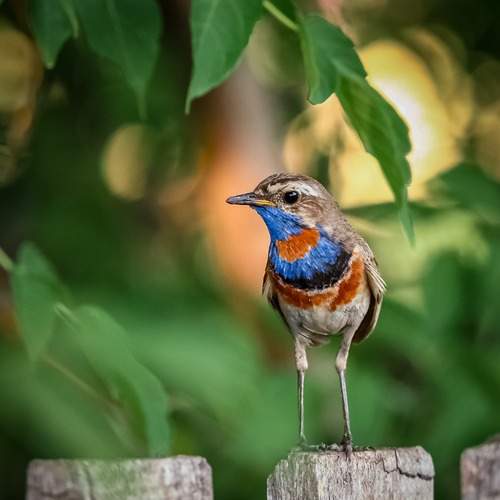 Фотография #13127834