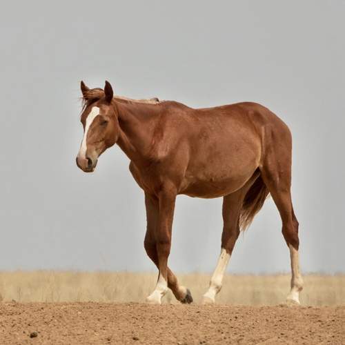 Photo #13127846