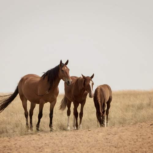 Photo #13127847