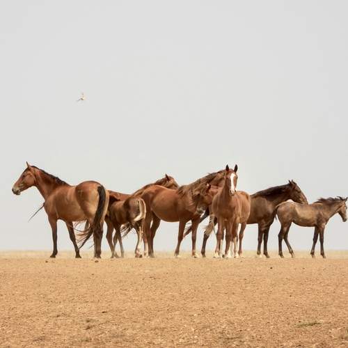 Photo #13127848