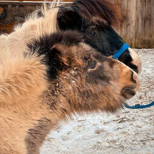 Photo #13128106