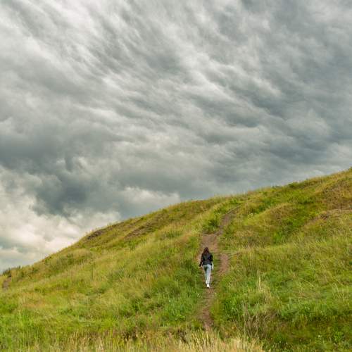 Photo #13128145