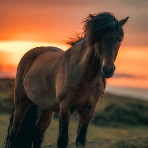 Фотография #13128192