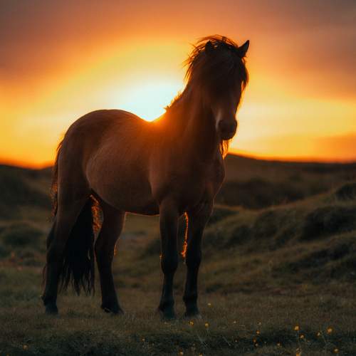 Фотография #13128194