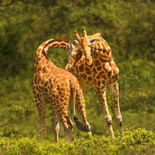 Мы вместе...