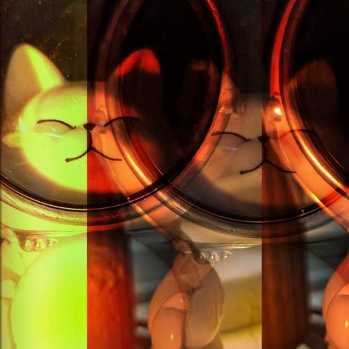 Photo #13128472