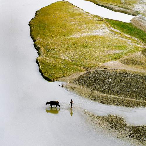 Photo #13128527