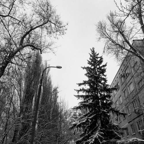 Photo #13128591