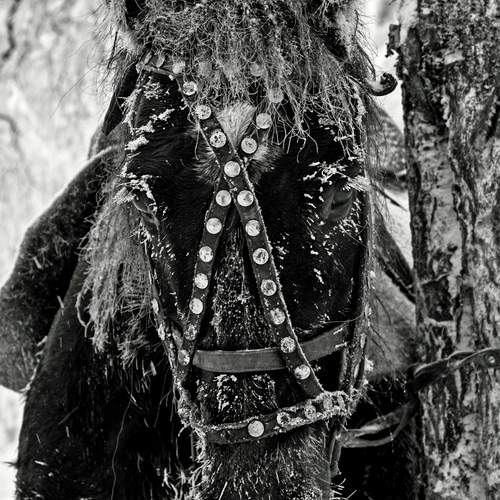 Морозное ожидание