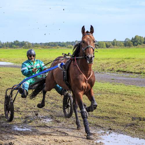 Сложная трасса