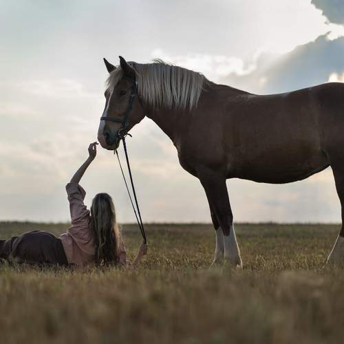 Фотография #13128816