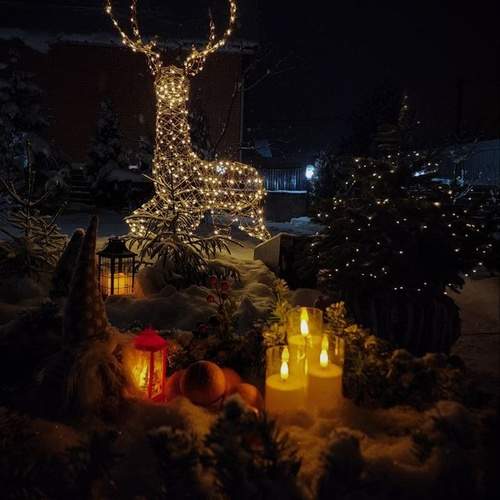 Photo #13128900