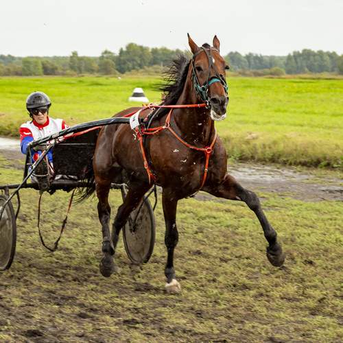 Тяжеловато. в дождик.