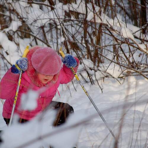 Фотография #13128963