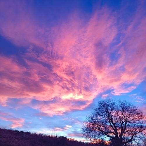 Photo #13128976