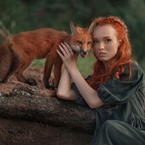 Фотография #13129000