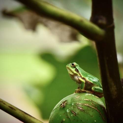 Photo #13129330