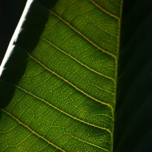 Photo #13129364