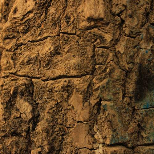 Texture