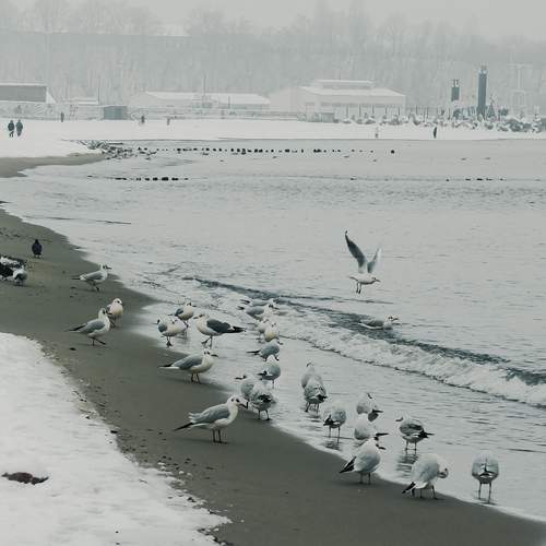 Photo #13129438
