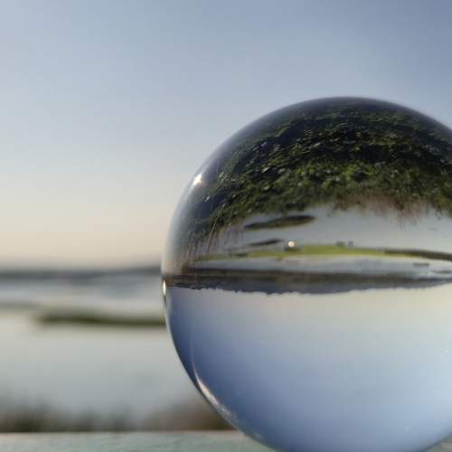 Photo #13129439