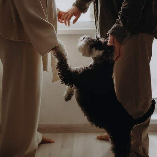Photo #13129511