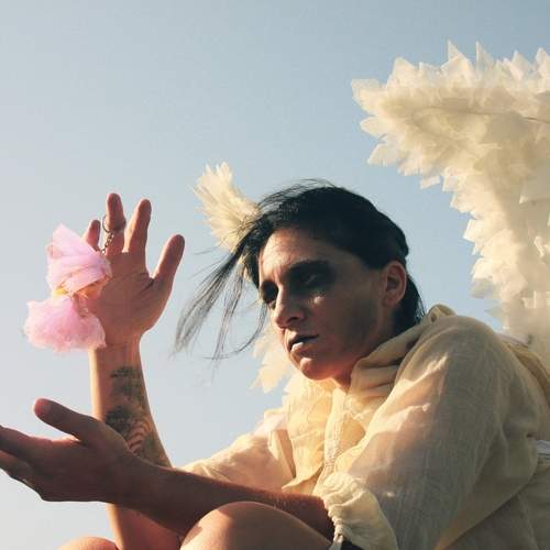 Photo #13129577