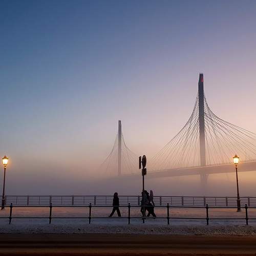 Photo #13129585