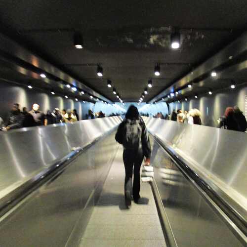 Photo #13129668
