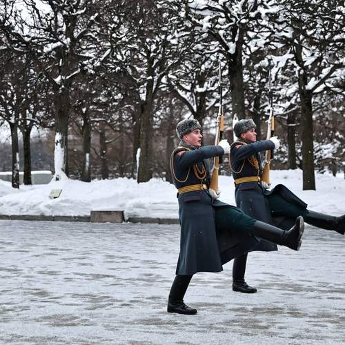 Photo #13130106