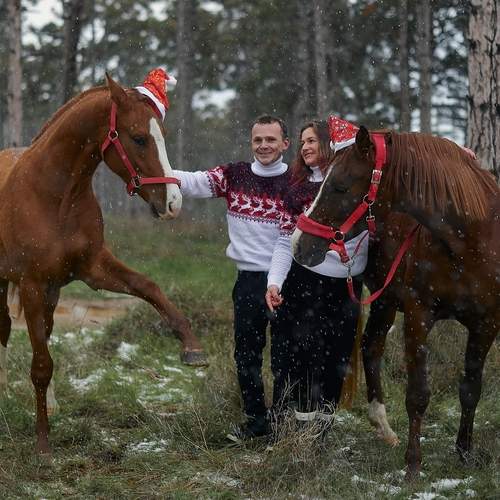 Photo #13130191