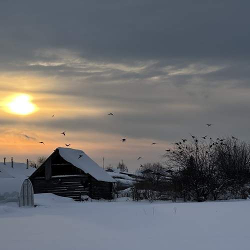 Photo #13130282