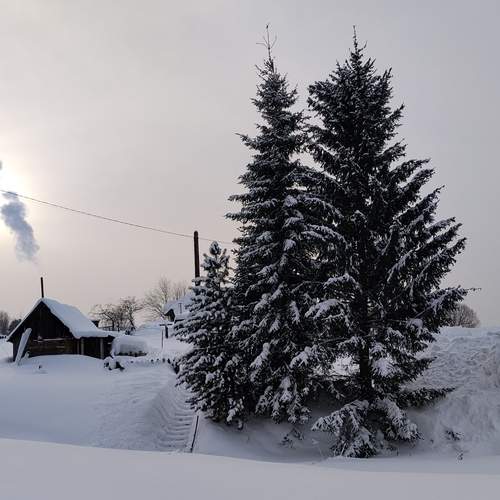 Photo #13130402