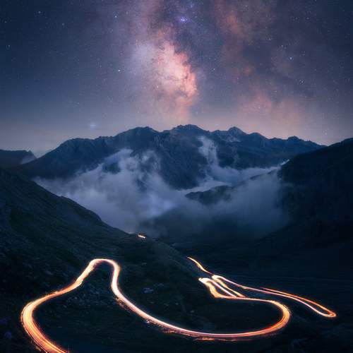 Photo #13130490