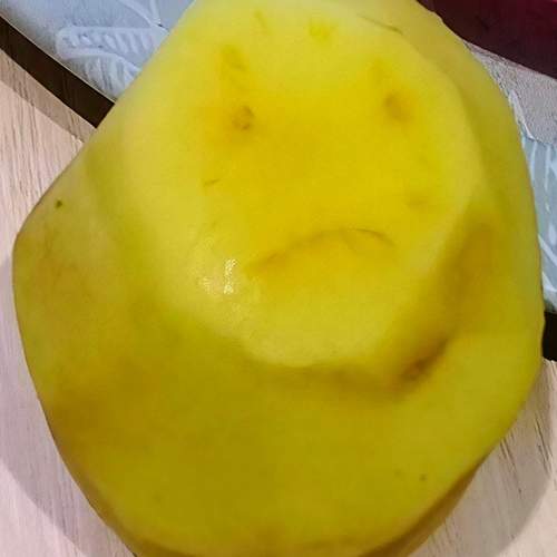 Photo #13130635