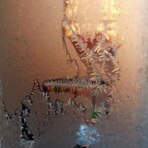 Photo #13130703