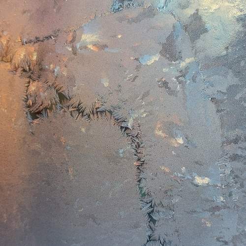 Photo #13130705