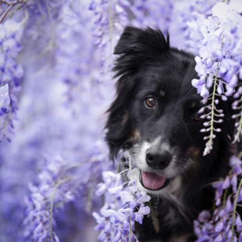 Photo #13130777