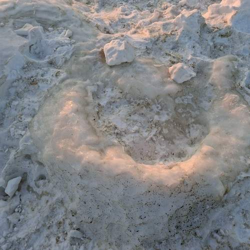 Photo #13130823