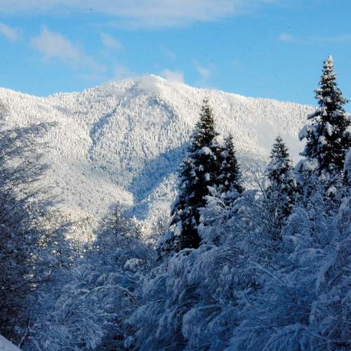Photo #13131020