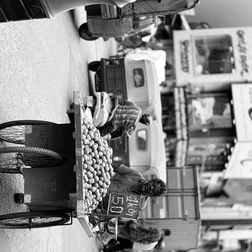 Photo #13131038